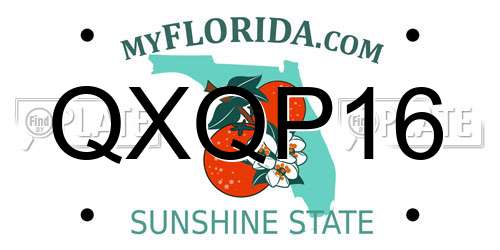 QXQP16 Florida License Plate