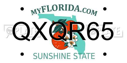 QXQR65 Florida License Plate