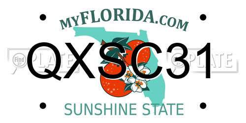 QXSC31 Florida License Plate