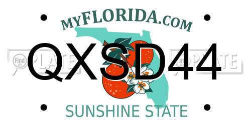 QXSD44 Florida License Plate