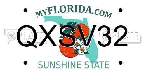 QXSV32 Florida License Plate