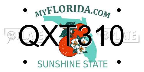 QXT310 Florida License Plate