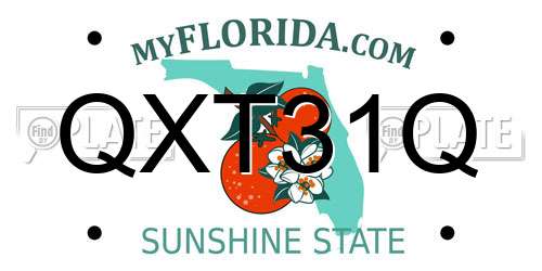 QXT31Q Florida License Plate