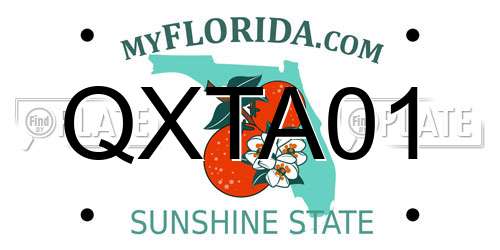 QXTA01 Florida License Plate