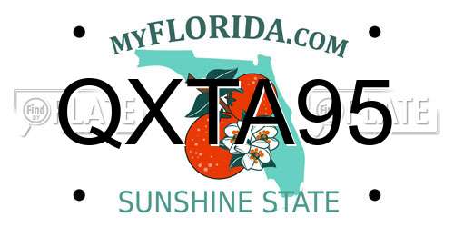 QXTA95 Florida License Plate
