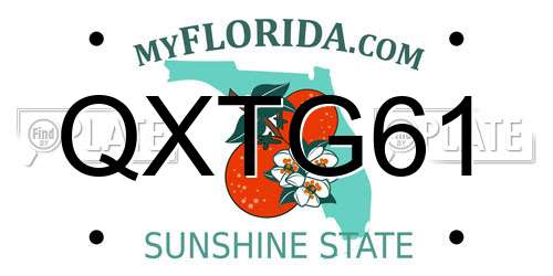QXTG61 Florida License Plate