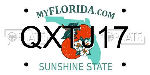 QXTJ17 Florida License Plate