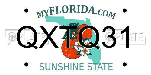 QXTQ31 Florida License Plate