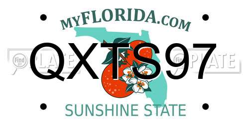QXTS97 Florida License Plate