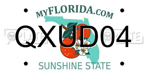 QXUD04 Florida License Plate