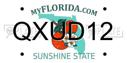 QXUD12 Florida License Plate