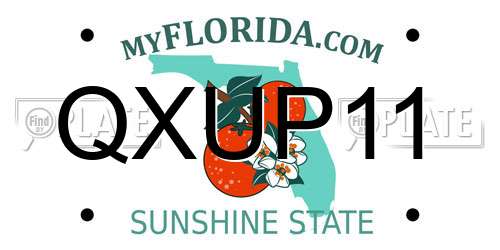 QXUP11 Florida License Plate