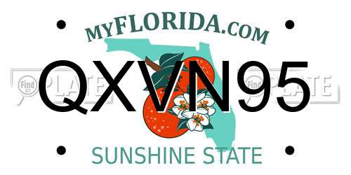QXVN95 Florida License Plate