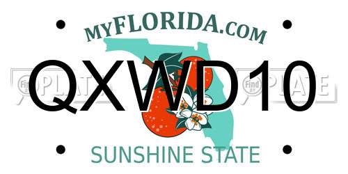 QXWD10 Florida License Plate
