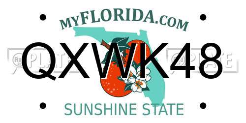 QXWK48 Florida License Plate