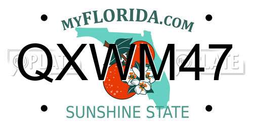 QXWM47 Florida License Plate