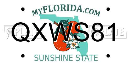 QXWS81 Florida License Plate