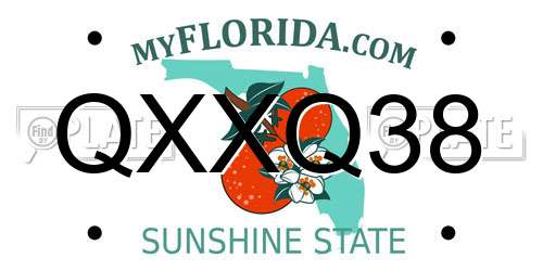QXXQ38 Florida License Plate
