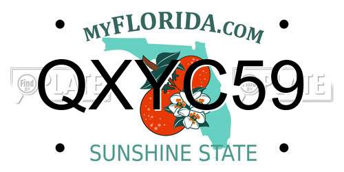 QXYC59 Florida License Plate