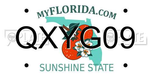 QXYG09 Florida License Plate