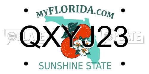 QXYJ23 Florida License Plate
