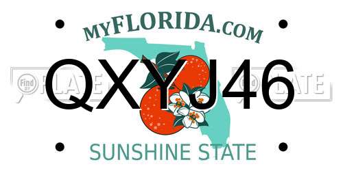 QXYJ46 Florida License Plate
