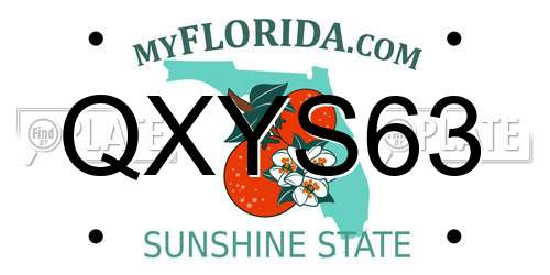 QXYS63 Florida License Plate