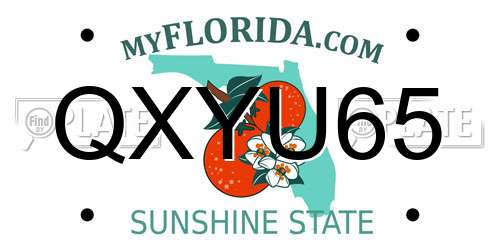 QXYU65 Florida License Plate