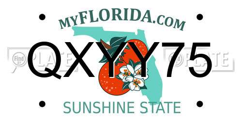 QXYY75 Florida License Plate