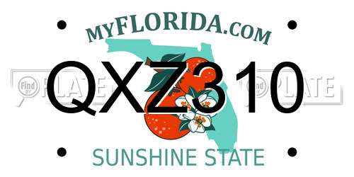 QXZ310 Florida License Plate