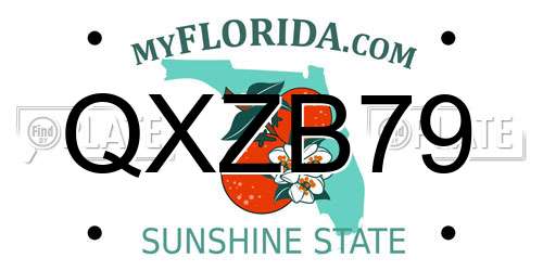 QXZB79 Florida License Plate