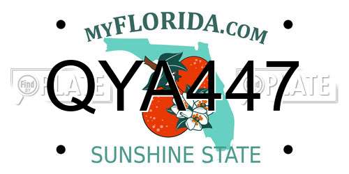 QYA447 Florida License Plate