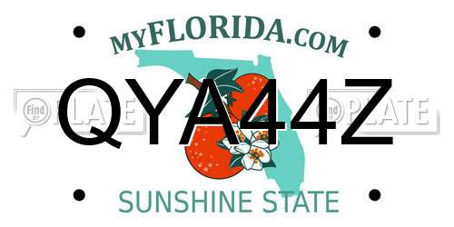 QYA44Z Florida License Plate