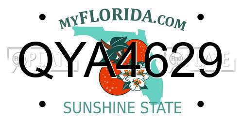 QYA4629 Florida License Plate