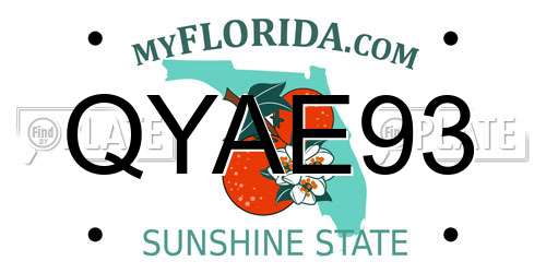 QYAE93 Florida License Plate