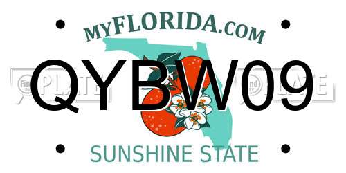 QYBW09 Florida License Plate