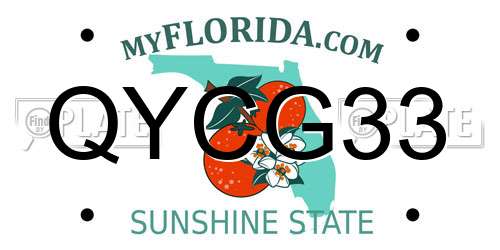 QYCG33 Florida License Plate