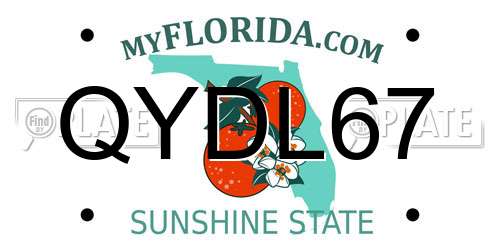 QYDL67 Florida License Plate