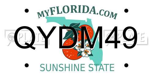 QYDM49 Florida License Plate