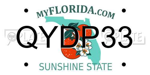 QYDP33 Florida License Plate