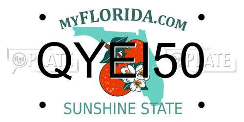 QYEI50 Florida License Plate