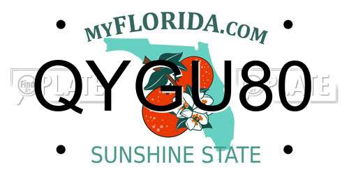 QYGU80 Florida License Plate