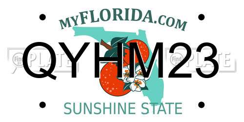 QYHM23 Florida License Plate