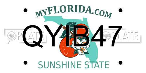 QYIB47 Florida License Plate