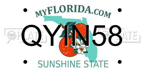QYIN58 Florida License Plate