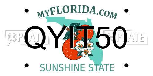 QYIT50 Florida License Plate