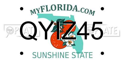 QYIZ45 Florida License Plate