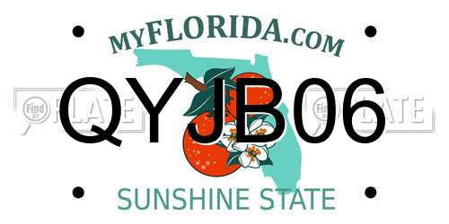 QYJB06 Florida License Plate