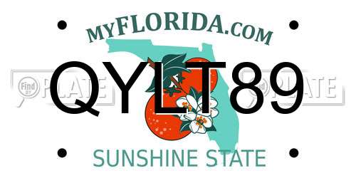 QYLT89 Florida License Plate