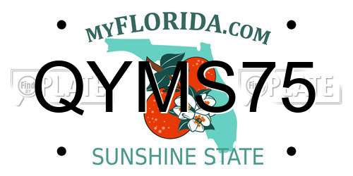 QYMS75 Florida License Plate